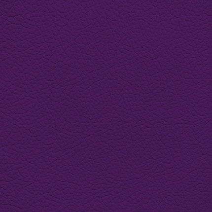 WALK101 — Plum