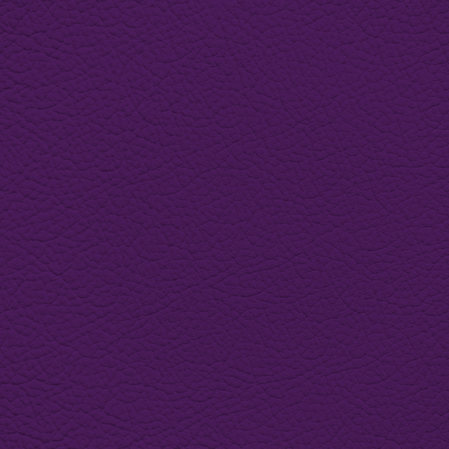 WALK101 — Plum