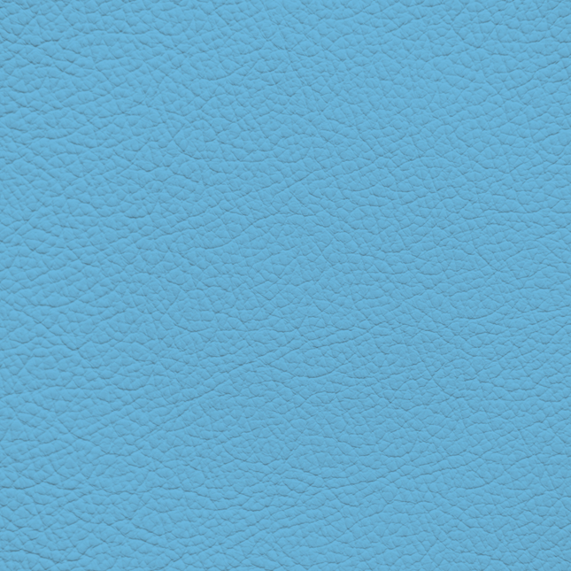 WALK101 — Powder Blue