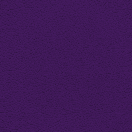 WALK101 — Regal Purple