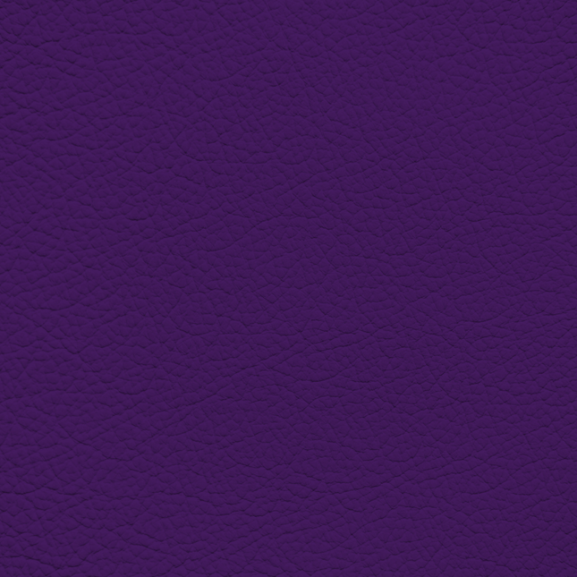 WALK101 — Regal Purple