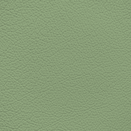 WALK101 — Sage