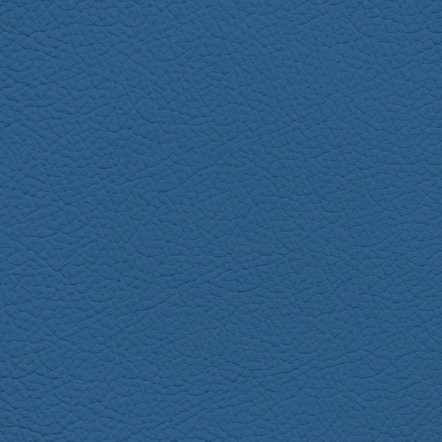 WALK101 — Slate Blue