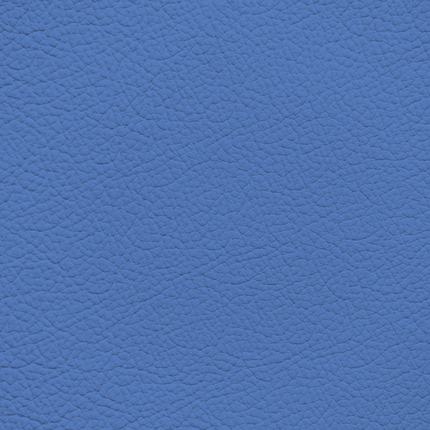 WALK101 — Steel Blue