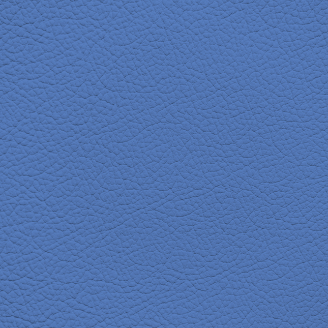 WALK101 — Steel Blue
