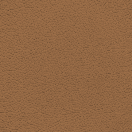 WALK101 — Tan Fade