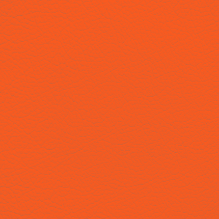 WALK101 — Tangerine