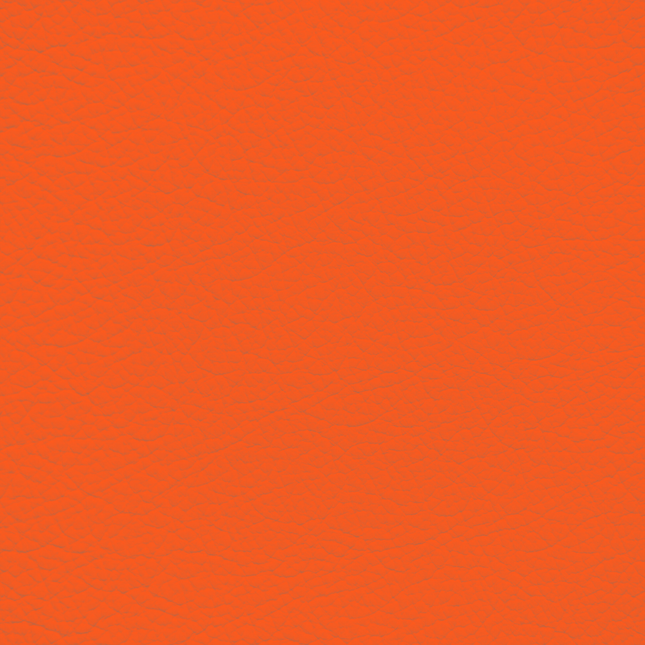 WALK101 — Tangerine