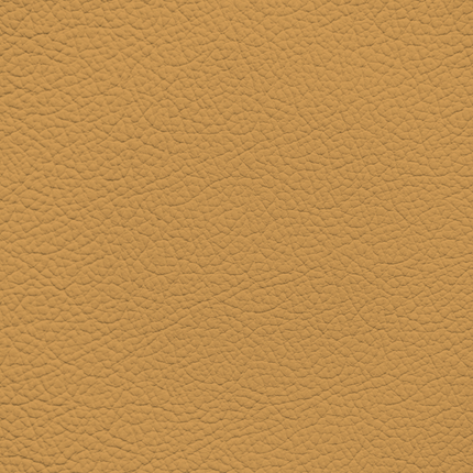 WALK101 — Toasted Wheat