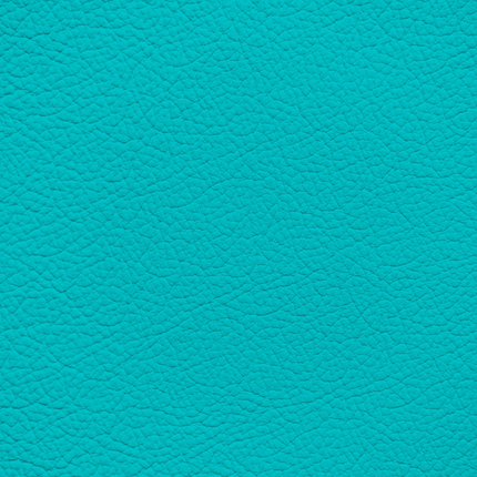 WALK101 — Turquoise Rush