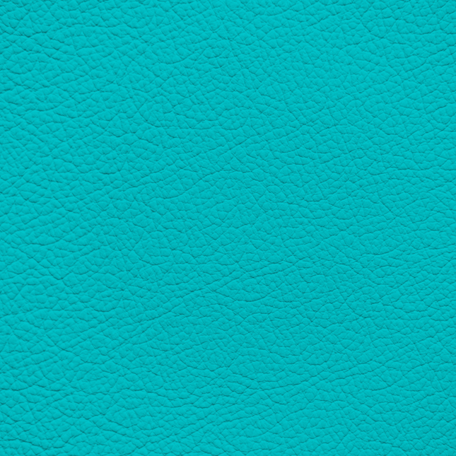 WALK101 — Turquoise Rush