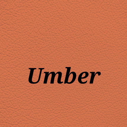 Umber — SkinTone Studio Palette