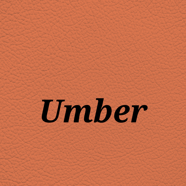 Umber — SkinTone Studio Palette