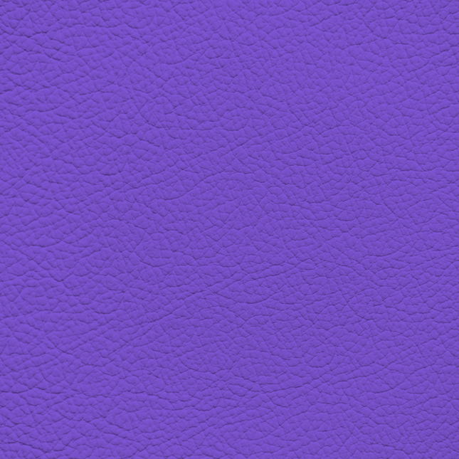 WALK101 — Violet Flex