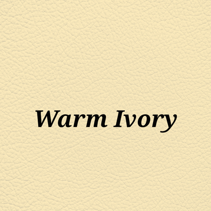 Warm Ivory — SkinTone Studio Palette